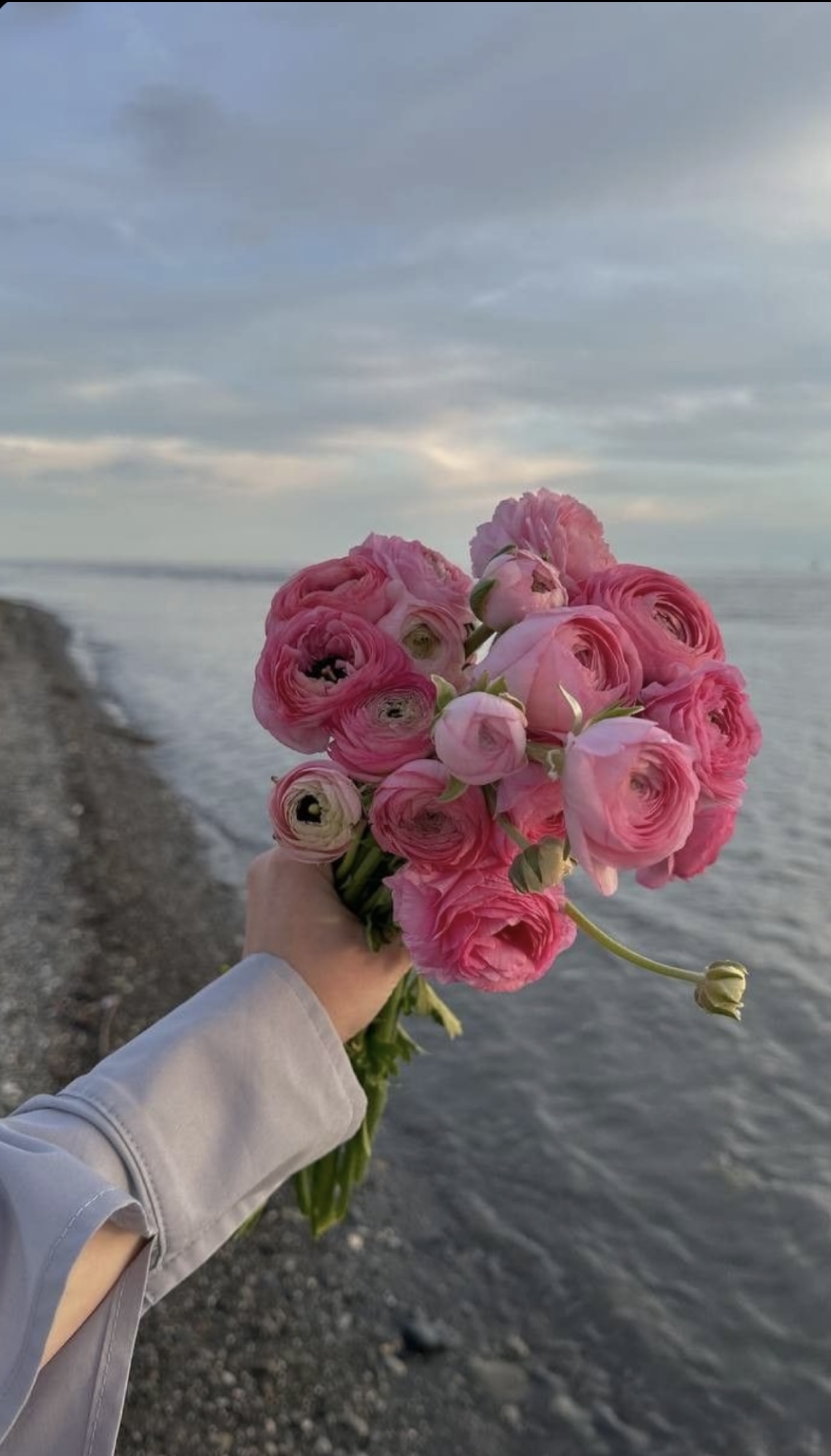 YÊU KHÔNG DÁM NÓI