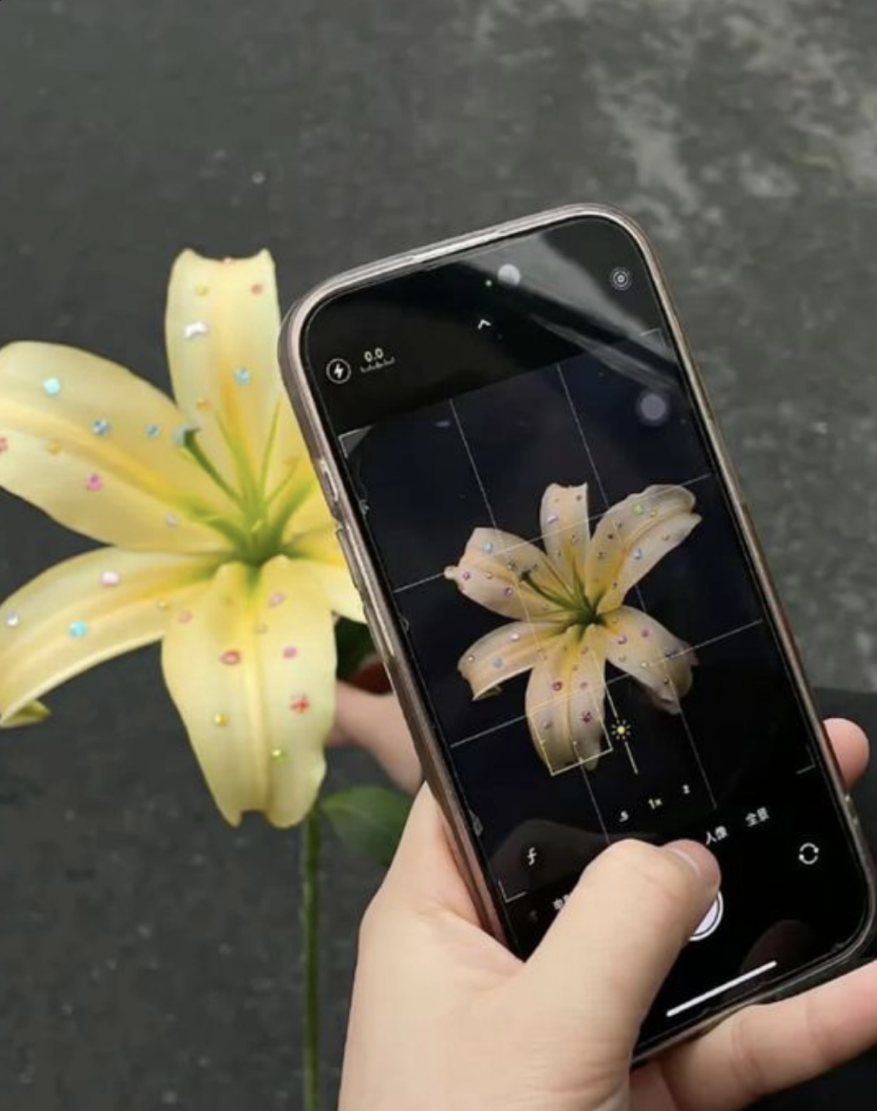 THẮP ĐÈN TRỜI CHO TRA NAM TIỆN NỮ