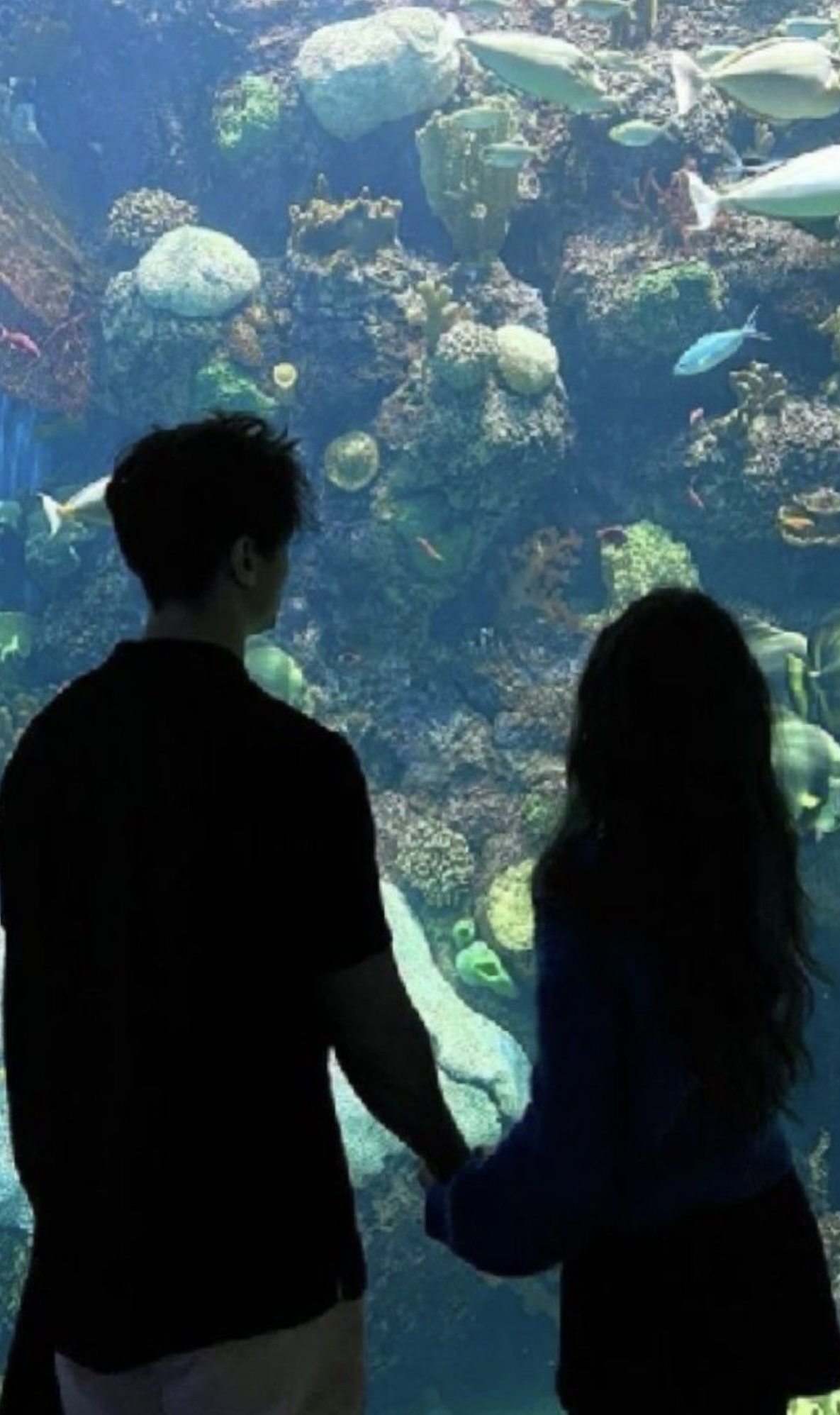 ANH KHÔNG PHẢI NGƯỜI DUY NHẤT