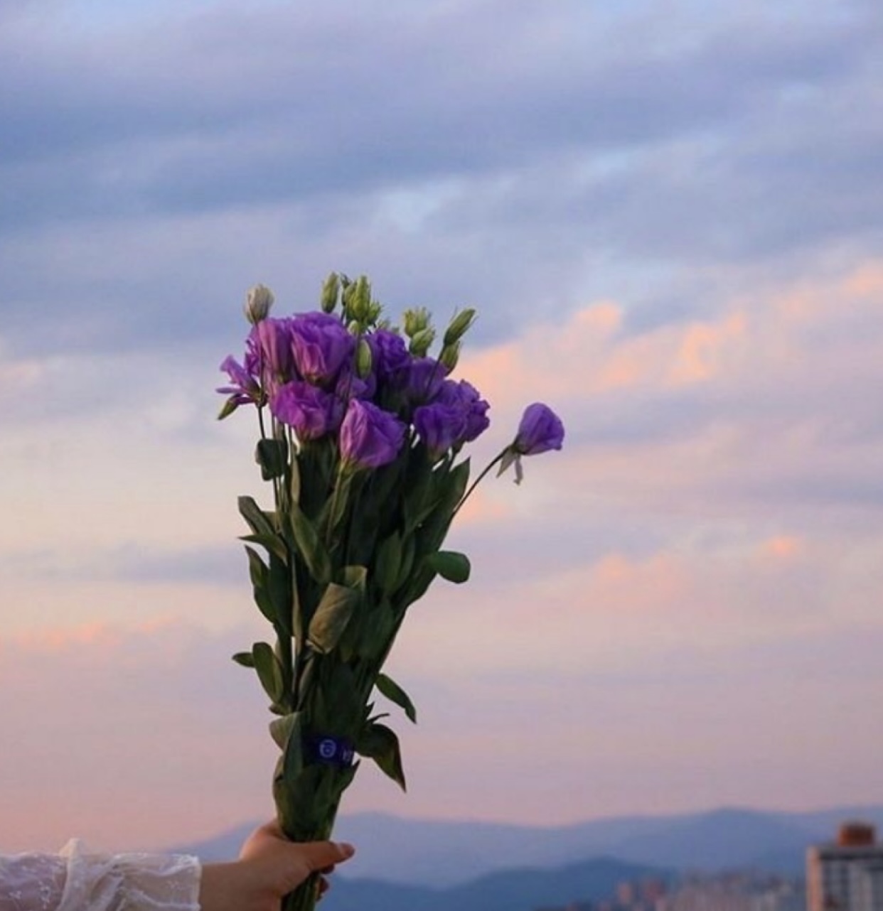 PHÁO HÔI TRONG TIỂU THUYẾT