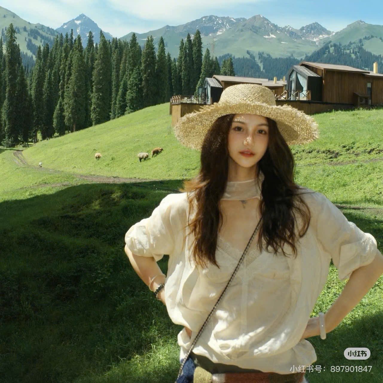 BAN CÔNG CỦA TIẾN SĨ CỐ