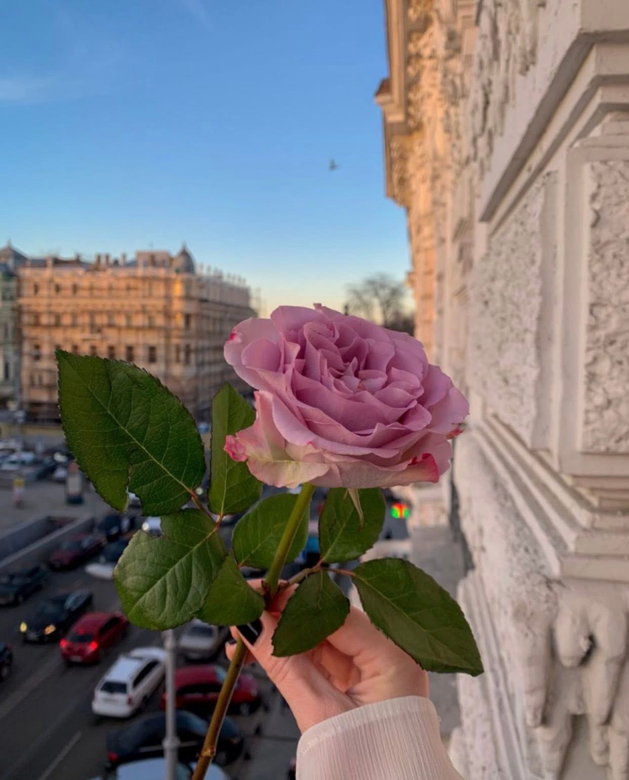 CUỘC HỘI NGỘ 20 PHÚT