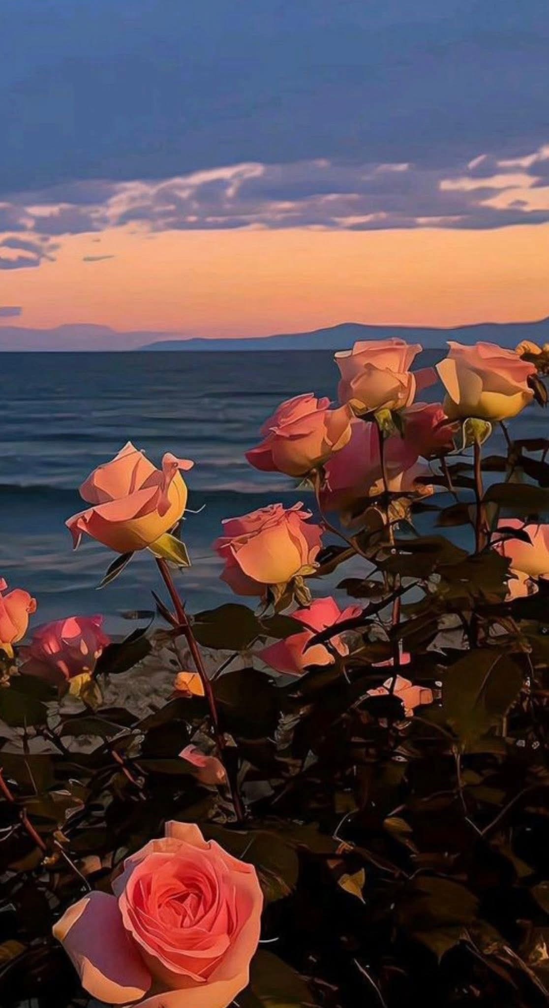 CUỐN THEO CHIỀU GIÓ FULL