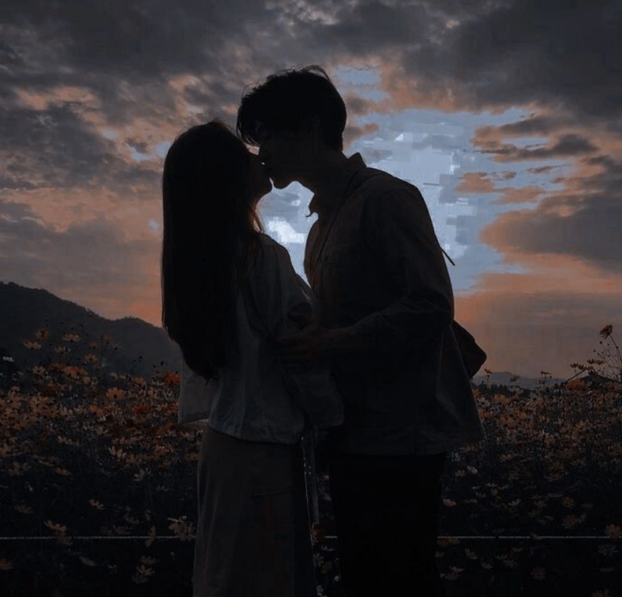 TÌNH YÊU DỪNG LẠI