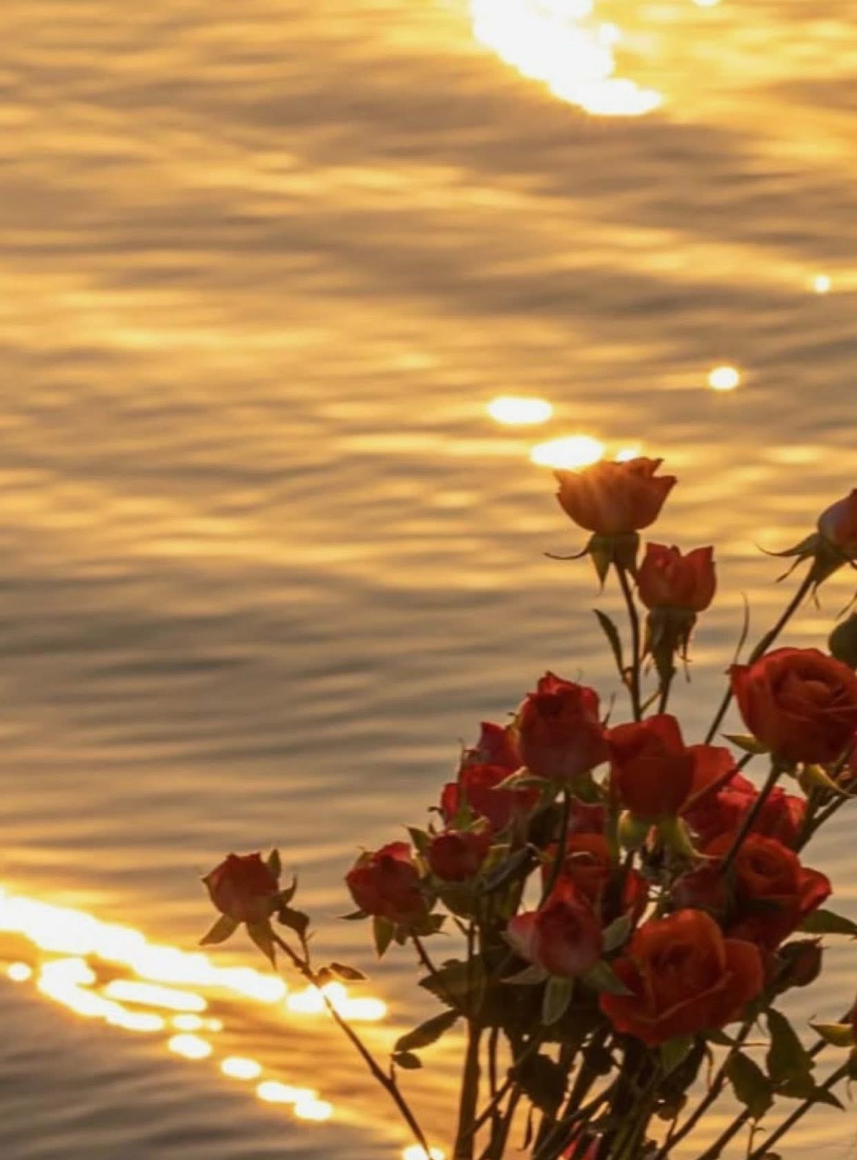 MẸ KẾ CỦA THIẾU NIÊN PHẢN DIỆN