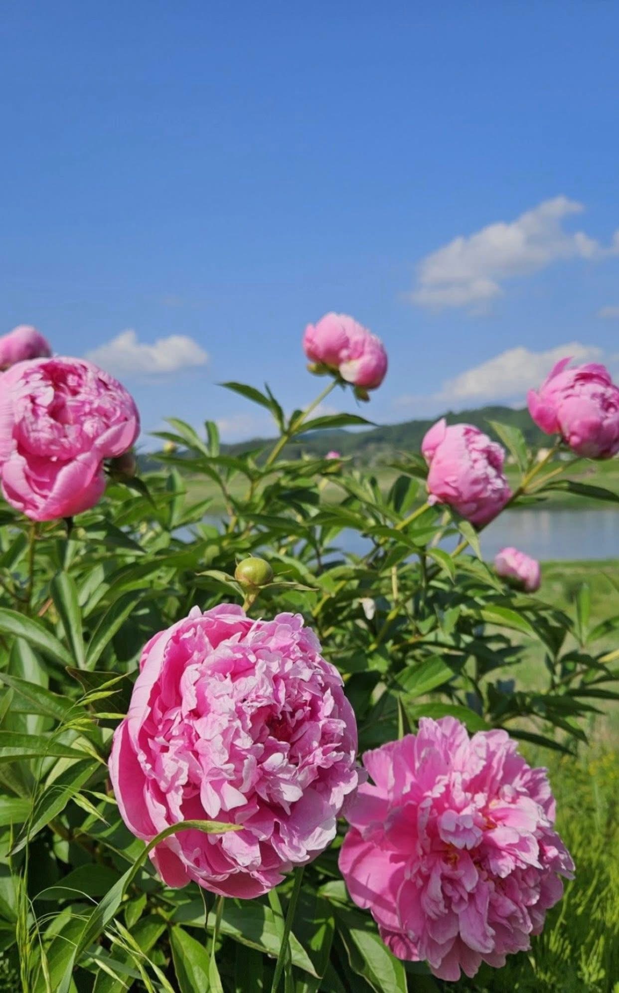 BA NĂM THỬ THÁCH