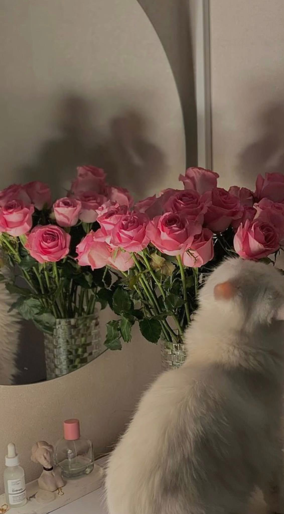 BA MẸ CHỒNG GẶP NẠN, CHỒNG BỎ MẶC