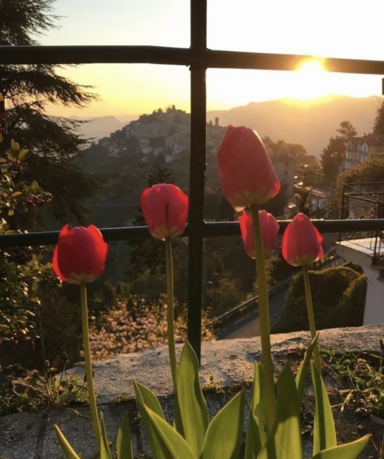 LẠNH GIÁ RỒI SẼ QUA