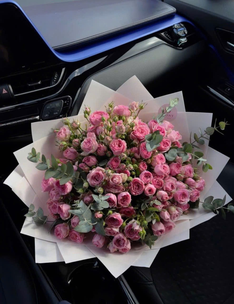 TÔI ĐỂ Ý ANH TRAI CỦA KẺ THÙ