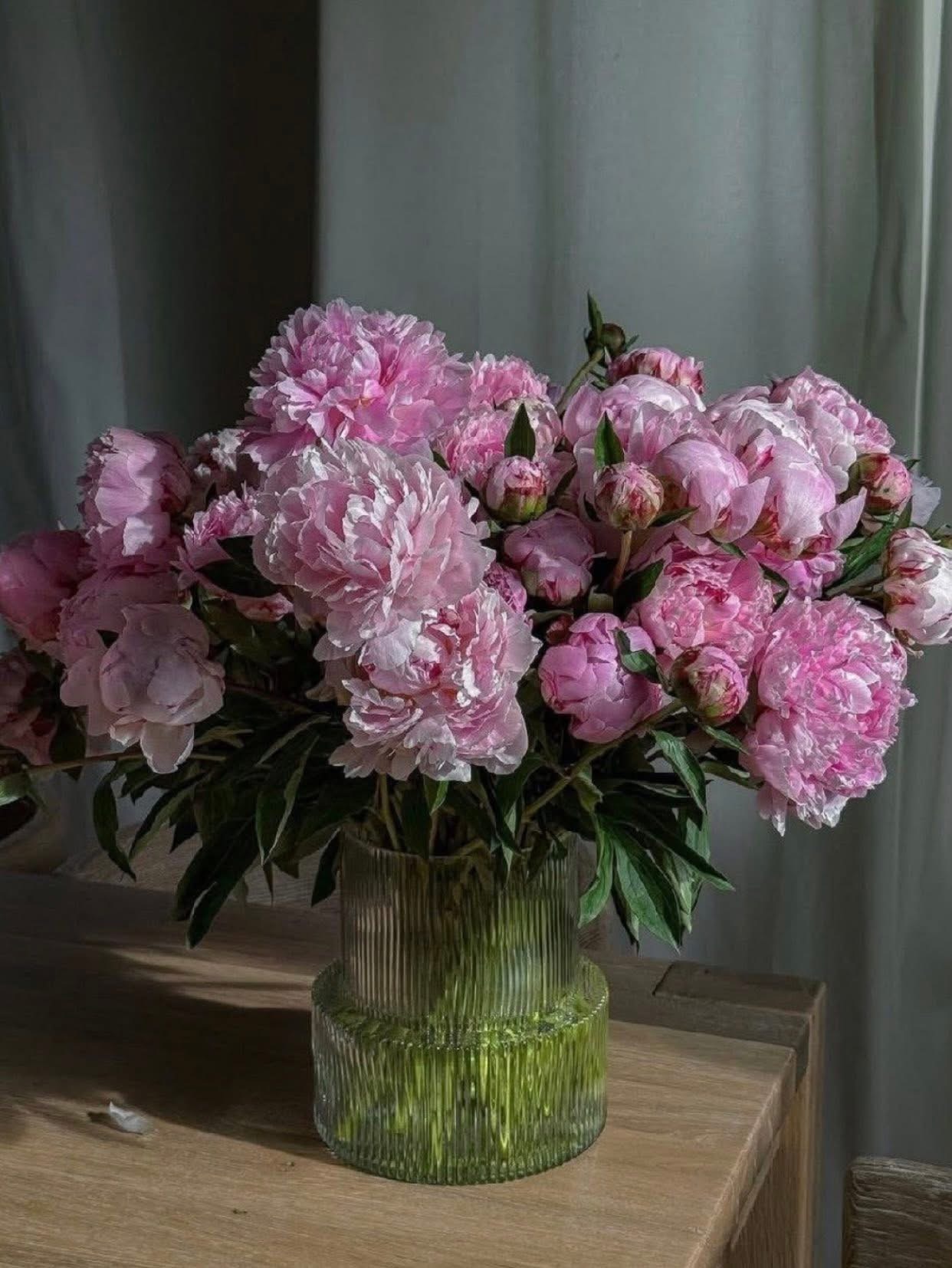 LẶP LẠI HỒI ỨC TƯƠI ĐẸP