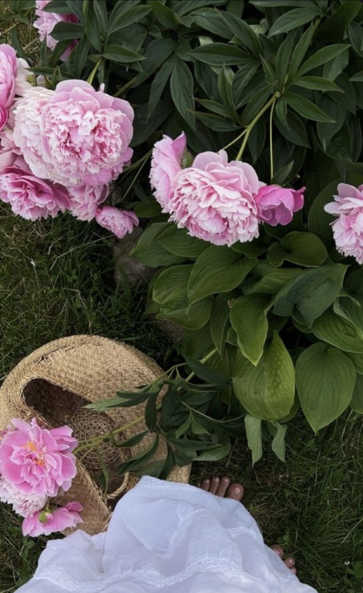 HẸN NYC ĂN TÔM HÙM CAY