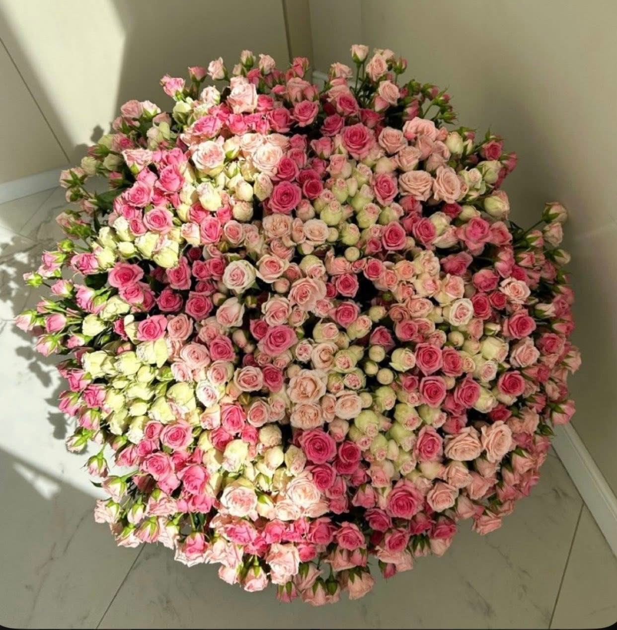 THỨ TÔI CẦN LÀ TIỀN