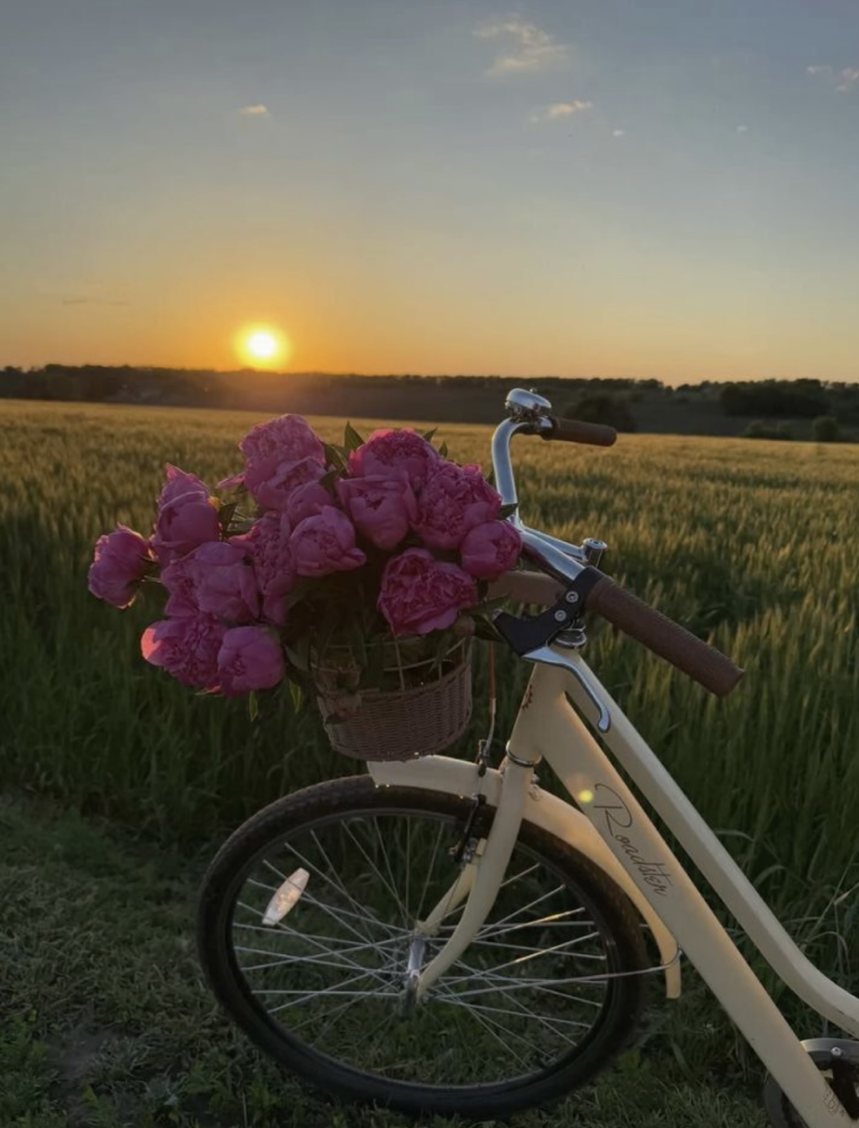 VIÊN THUỐC CẮT ĐỨT TÌNH YÊU