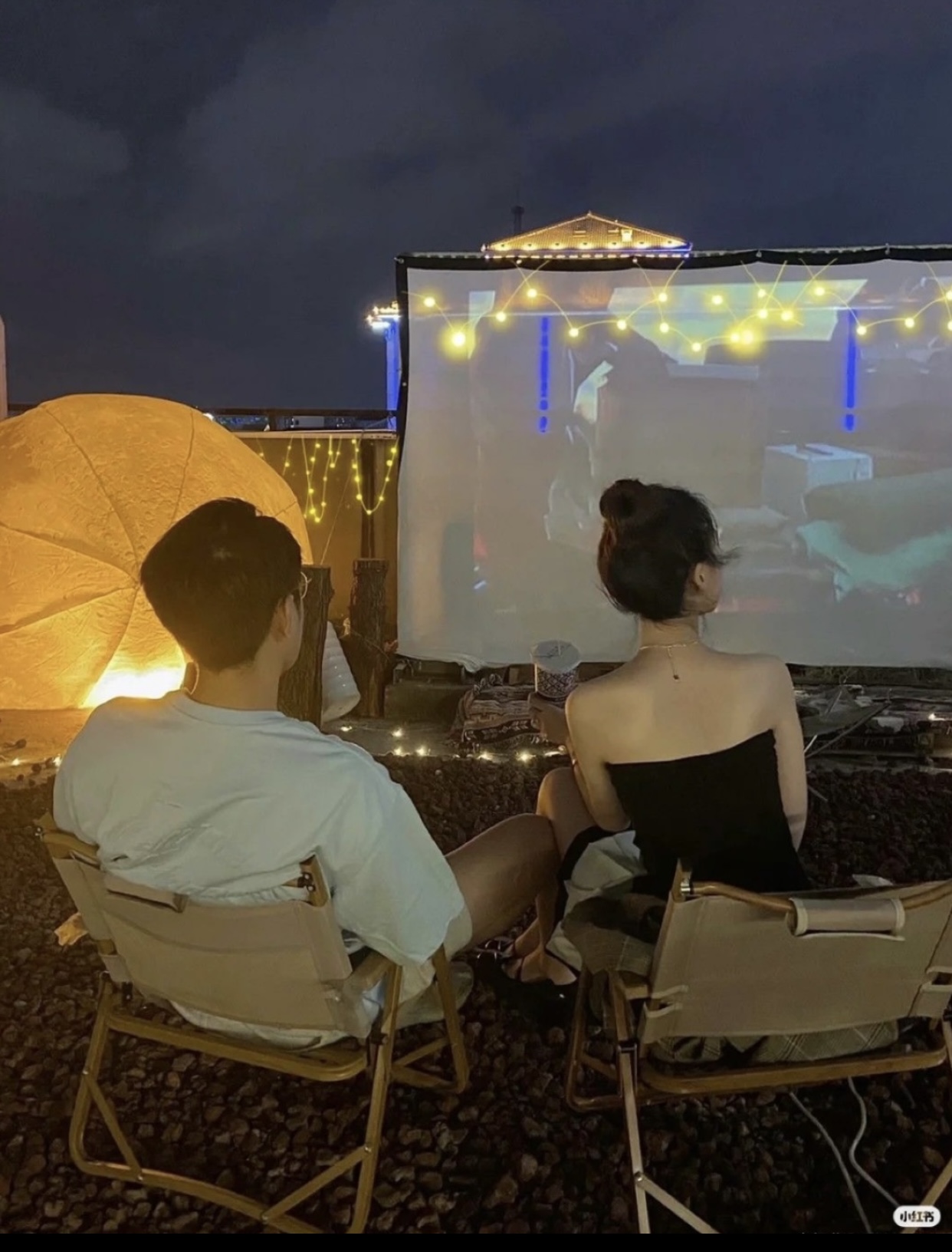 BẠN TRAI TẶNG MÈO CỦA TÔI CHO BNQ