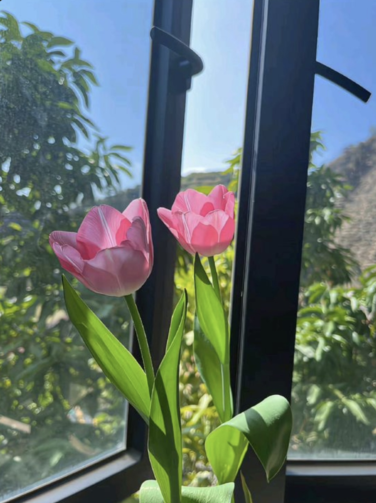 GIẢM CÂN THÀNH CÔNG