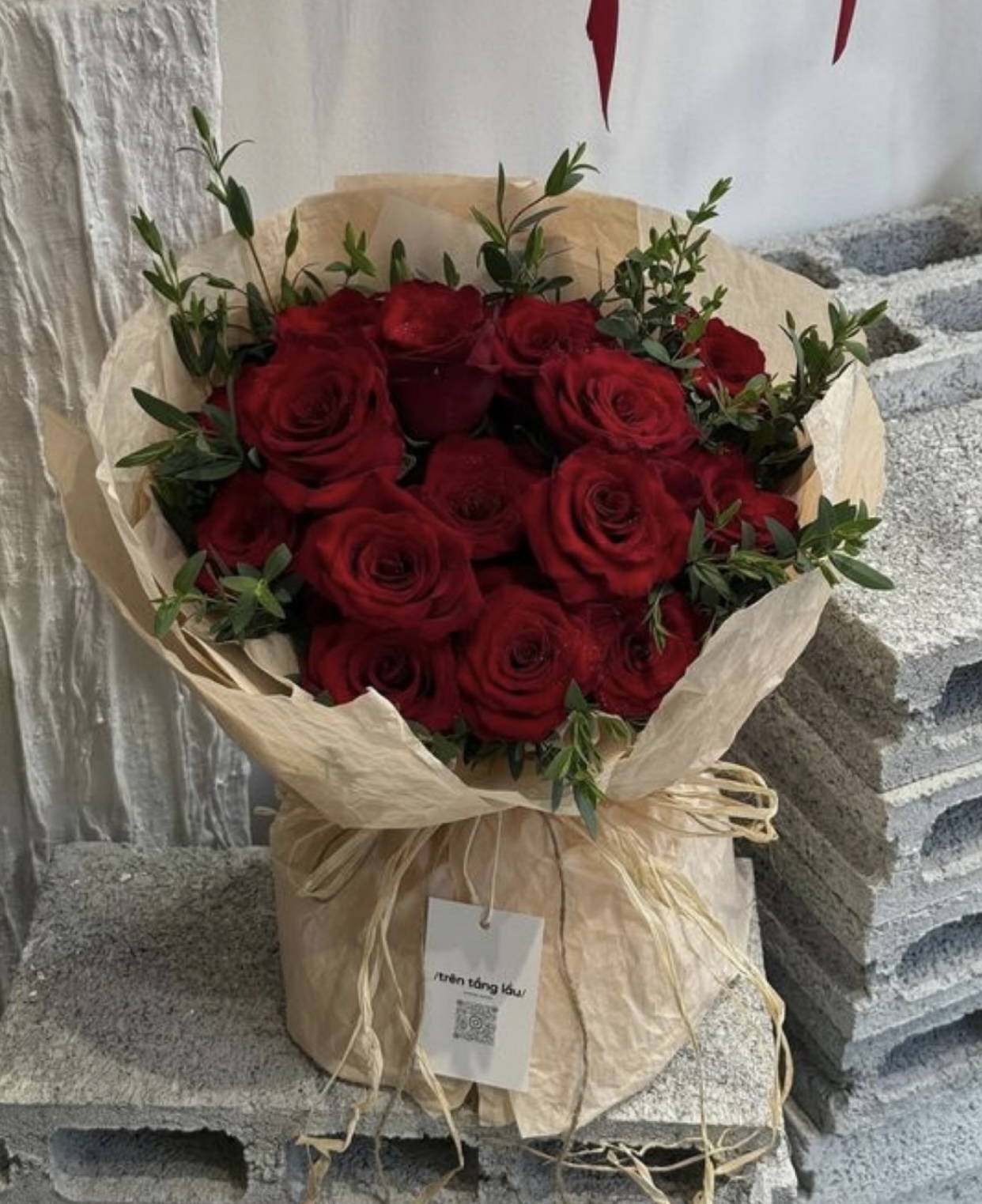 TOẢ SÁNG ĐÚNG CHỖ