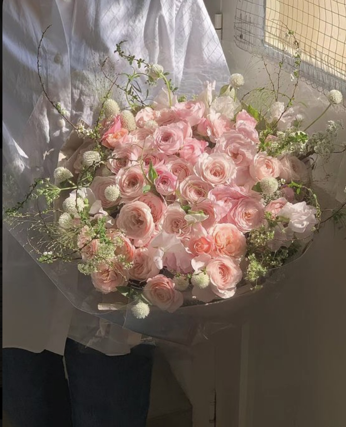 GIẢ LÀM HUSKY THEO ĐUỔI VỢ