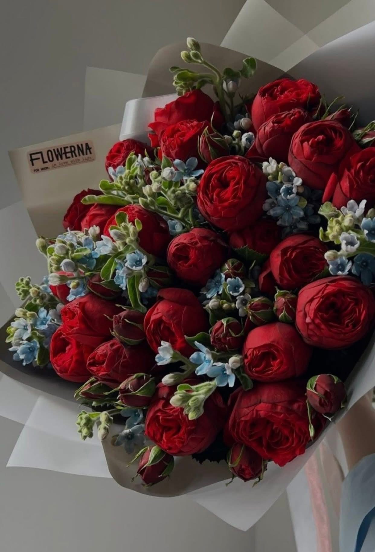 CHƯA TỪNG ĐƯỢC YÊU THƯƠNG