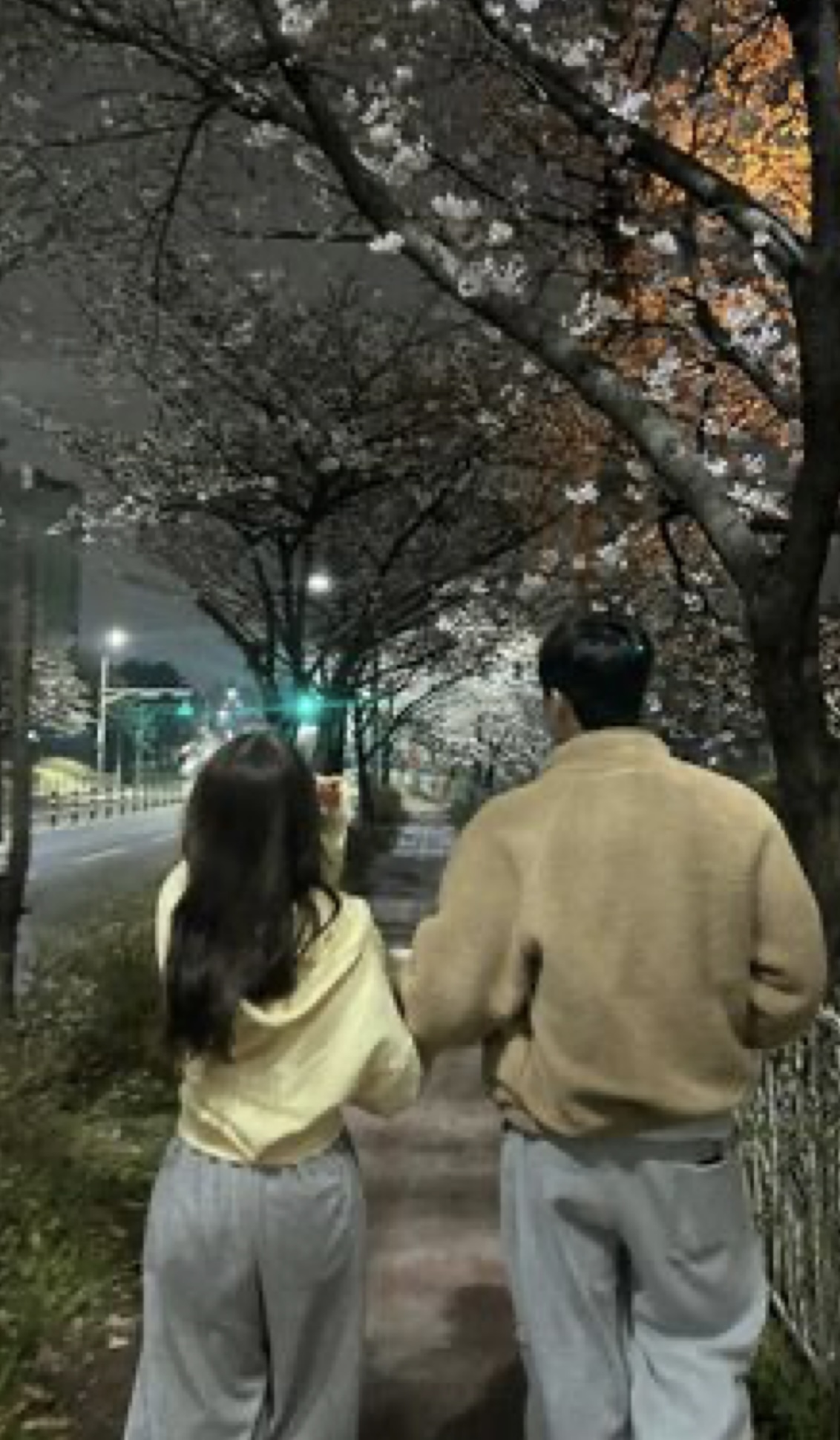 TÌNH YÊU CỦA DƯ NAM