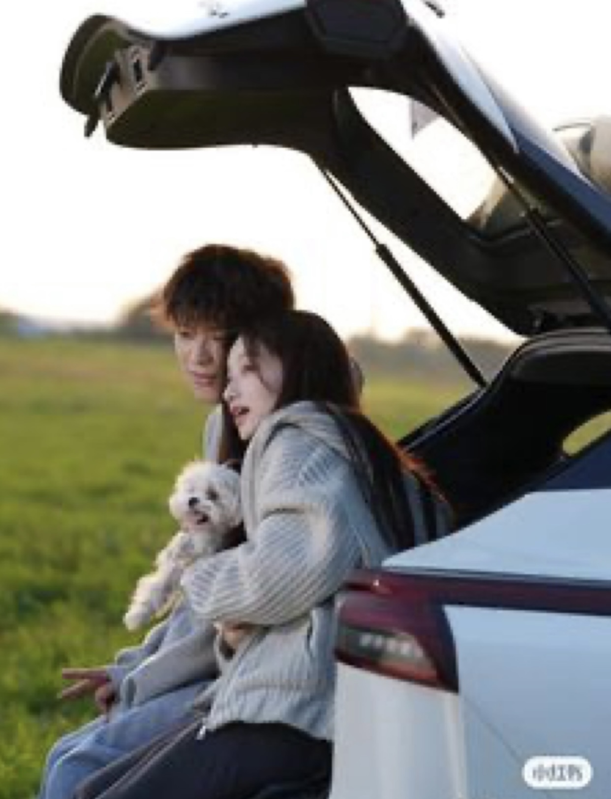 TÌNH YÊU TRÊN TÀU CAO TỐC