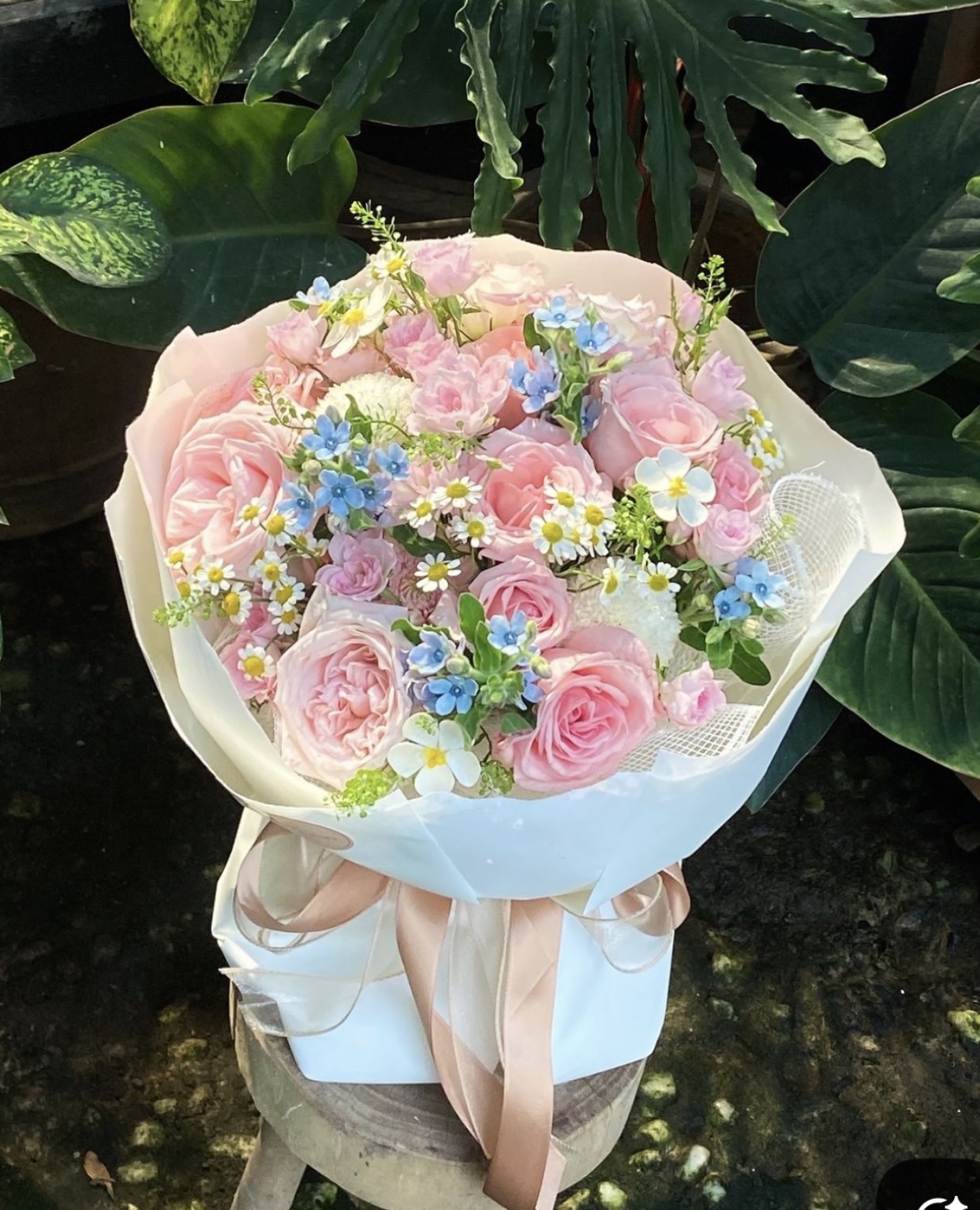 TÁI HÔN VỚI KẺ THÙ KHÔNG ĐỘI TRỜI CHUNG