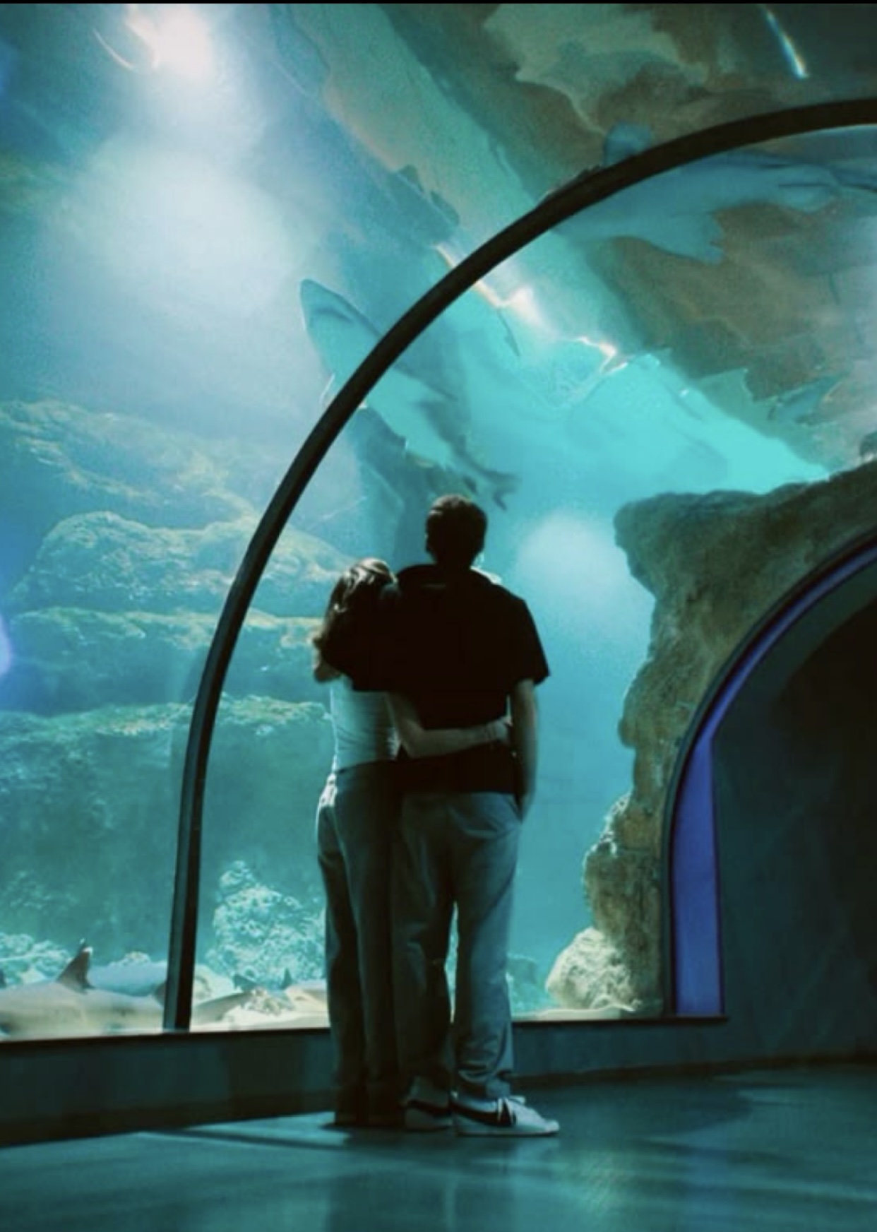 SAU LY HÔN TÔI ĐÓNG BĂNG TÀI KHOẢN CỦA CHỒNG